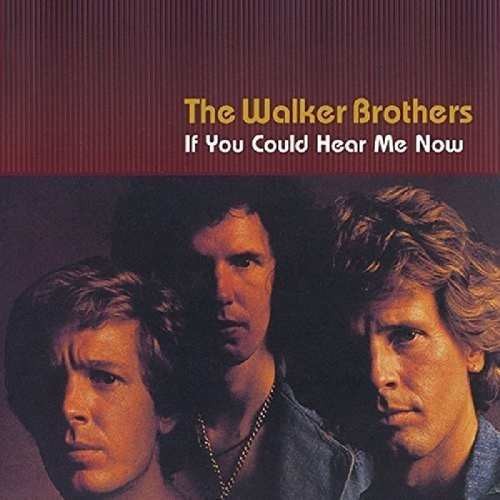 Walker Brothers - If You Could Hear Me Now (2017) 