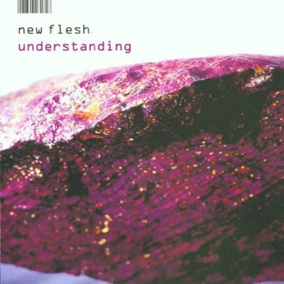 New Flesh - Understanding (2002) DOPRODEJ