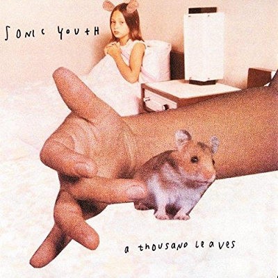 Sonic Youth - A Thousand Leaves (Edice 2016) - Vinyl 