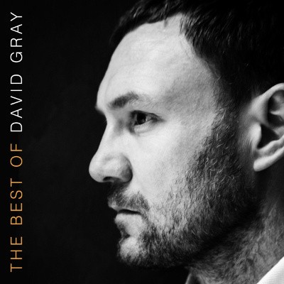 David Gray - Best Of David Gray/2LP (2016) 