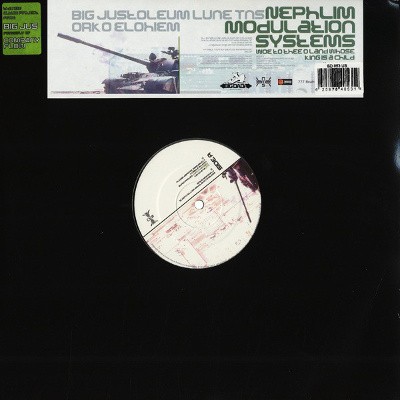 Nephlim Modulation Systems - Woe To Thee O Land Whose King Is A Child (2003) - Vinyl 