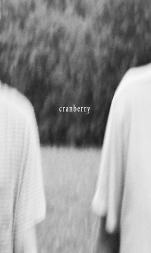 Hovvdy - Cranberry (Kazeta, 2018) 