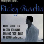 Ricky Martin =Tribute= - A Tribute To The Best Of Ricky Martin 