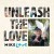 Mike Love - Unleash The Love (2017) 
