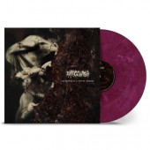 Dying Wish - Fragments Of A Bitter Memory (Edice 2023) - Limited Vinyl