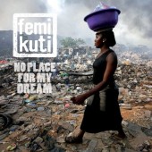 Femi Kuti - No Place for My Dream (2013) 