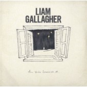 Liam Gallagher - All You're Dreaming Of (Black Single, 2021) - 7" Vinyl