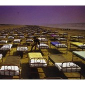 Pink Floyd - A Momentary Lapse Of Reason (Discovery Edition) 