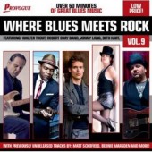 Various Artists - Where Blues Meets Rock Vol. 9 (2014) 