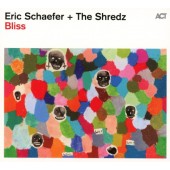 Eric Schaefer & The Shredz - Bliss (2016) 