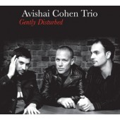 Avishai Cohen Trio - Gently Disturbed (2008) 