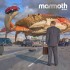 Mammoth WVH - Mammoth WVH (2021) - Limited Vinyl