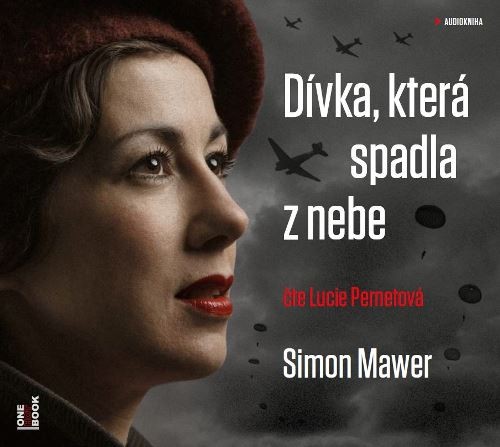 Simon Mawer - Dívka, která spadla z nebe 