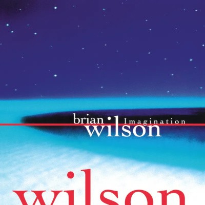 Brian Wilson - Imagination (RSD 2026) - Limited Vinyl