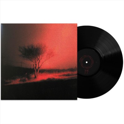 Joji - Piss In The Wind (2026) - Limited Vinyl