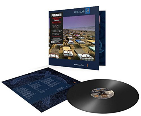 Pink Floyd - A Momentary Lapse Of Reason (Remastered 2011, Edice 2017) - Vinyl