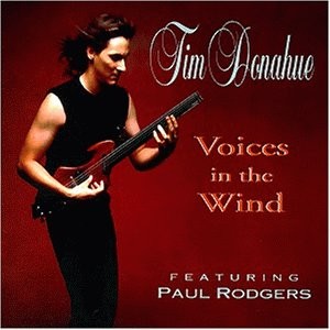Tim Donahue - Voices in the Wind 