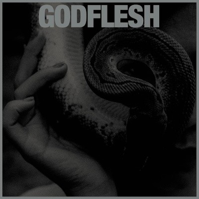 Godflesh - Purge (2023) /Digipack