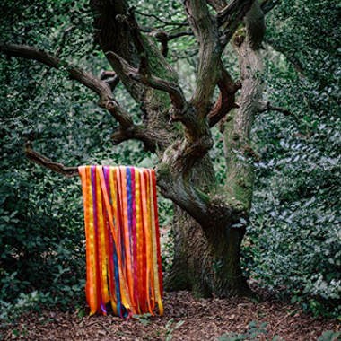 James Holden & The Animal Spirits - Animal Spirits /2LP (2017) 