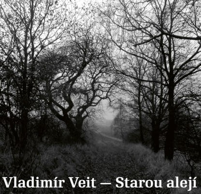 Vladimír Veit - Starou alejí (2024)