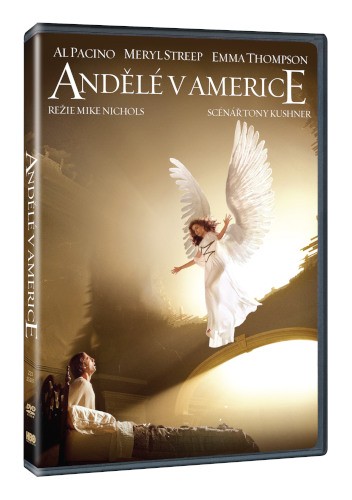 Film/Drama - Andělé v Americe (2DVD)