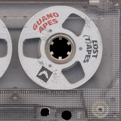 Guano Apes - Lost (T)Apes (2025) - Vinyl