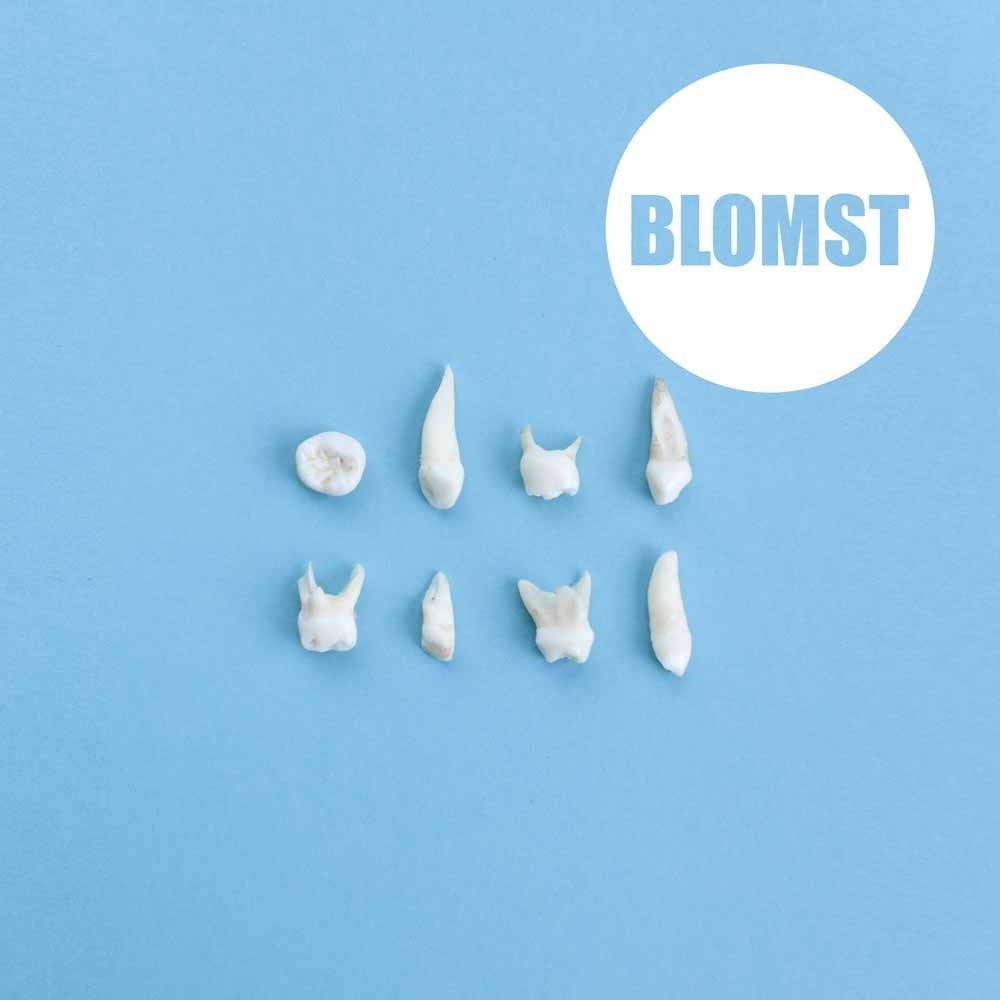 Blomst - Blomst (2015) 