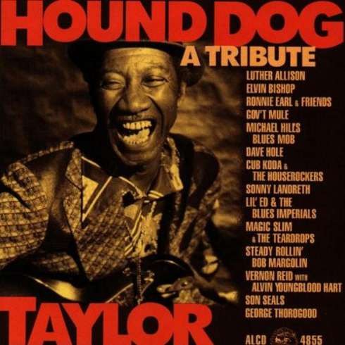 Various Artists - Hound Dog Taylor - A Tribute 