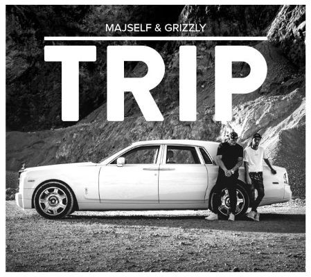 Majself & Grizzly - Trip (2017) CZ