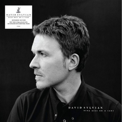 David Sylvian - Dead Bees On A Cake (Reedice 2018) – Vinyl