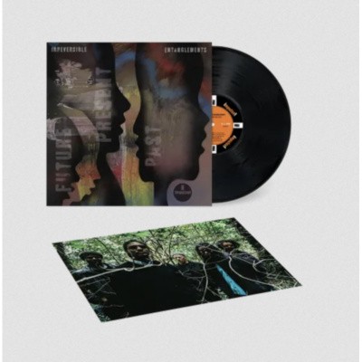 Irreversible Entanglements - Future Present Past (2026) - Vinyl