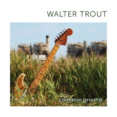 Walter Trout - Common Ground (2010) 