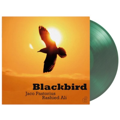 Jaco Pastorius & Rashied Ali - Blackbird (Limited Edition 2026) - 180 gr. Vinyl