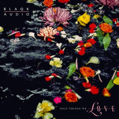 Blaqk Audio - Only Things We Love (2019)