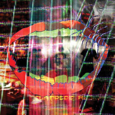 Animal Collective - Centipede Hz (Limited Edition, 2012) 