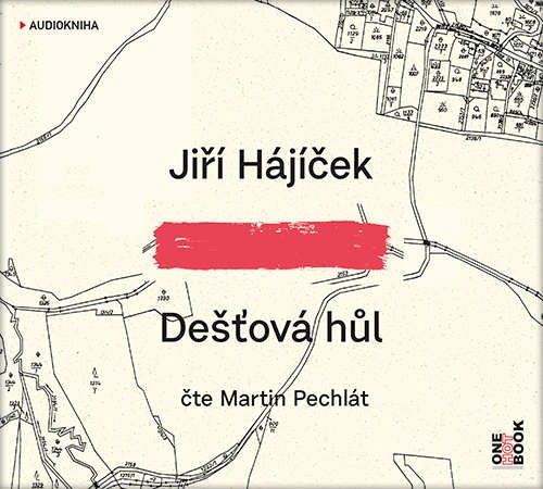 Jiří Hájíček - Dešťová hůl /MP3 
