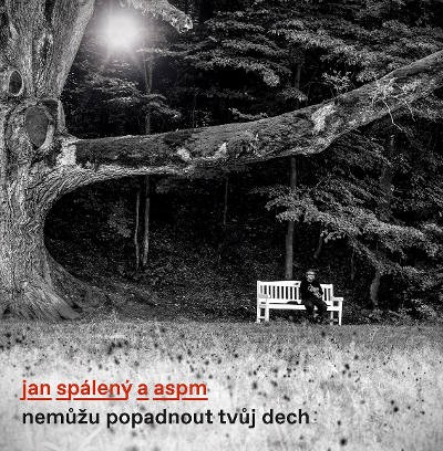 Jan Spálený & ASPM - Nemůžu popadnout tvůj dech (2019) - Vinyl