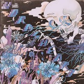 Shins - Worm's Heart /LP (2018) 