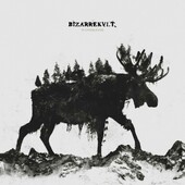 Bizarrekult - Vi Overlevde / (2021) - Vinyl