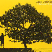 Jack Johnson - In Between Dreams (2005) 