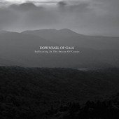 Downfall Of Gaia - Suffocating In The Swarm Of Cranes (2012) 