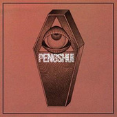 Pengshui - Destroy Yourself (2022) - Vinyl