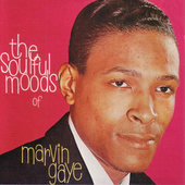 Marvin Gaye - Soulful Moods Of Marvin Gaye - 180 gr. Vinyl 