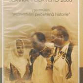 Various Artists - Hudecký večer Slávka Volavého 2008 ve Strážnici 