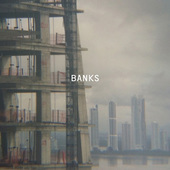 Paul Banks - Banks - 180 gr. Vinyl 