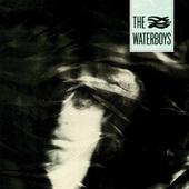 Waterboys - Waterboys - 180 gr. Vinyl 
