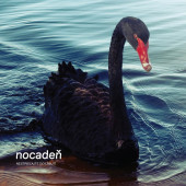 Nocadeň - Nestrielajte do labutí (Reedice 2022) Vinyl