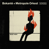 Bokanté + Metropole Orchestra, Jules Buckley - What Heat (2018) - Vinyl 