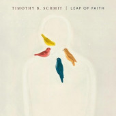 Timothy B. Schmit - Leap Of Faith (2017) - Vinyl 