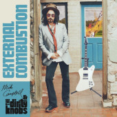 Mike Campbell & The Dirty Knobs - External Combustion (2022) - Vinyl